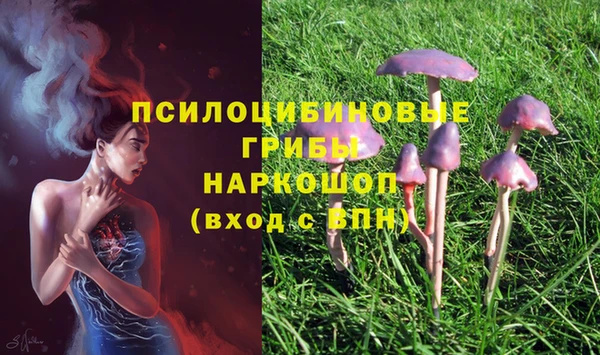 ALPHA PVP Лихославль