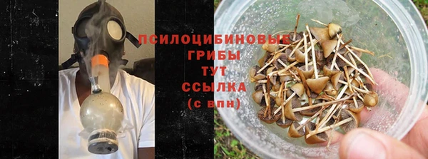 дживик Магас