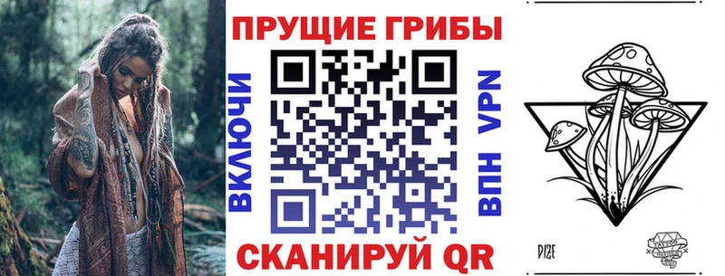 Псилоцибиновые грибы MAGIC MUSHROOMS Морозовск