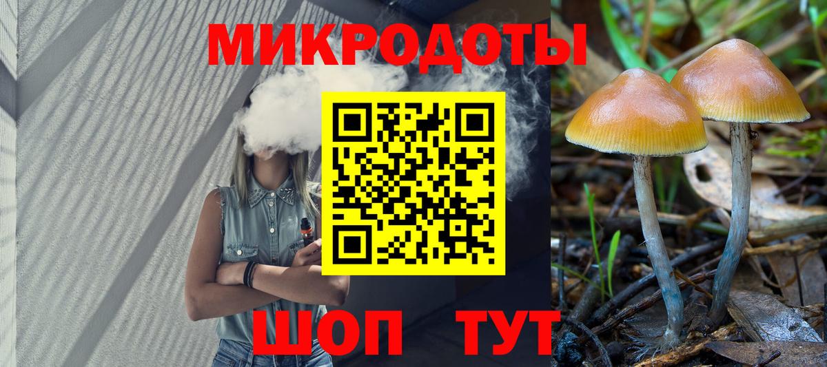 Псилоцибиновые грибы Cubensis  Вход с VPN  Морозовск 
