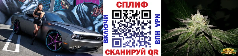 OMG как зайти  цена наркотик  Морозовск  Канабис ГИДРОПОН 